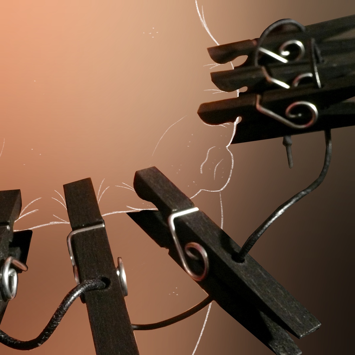 Holzklammern, 6er-Set, schwarz