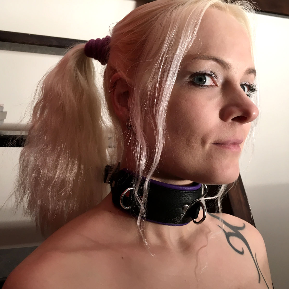 Halsfessel mit 3 D-Ringen, schwarz/lila