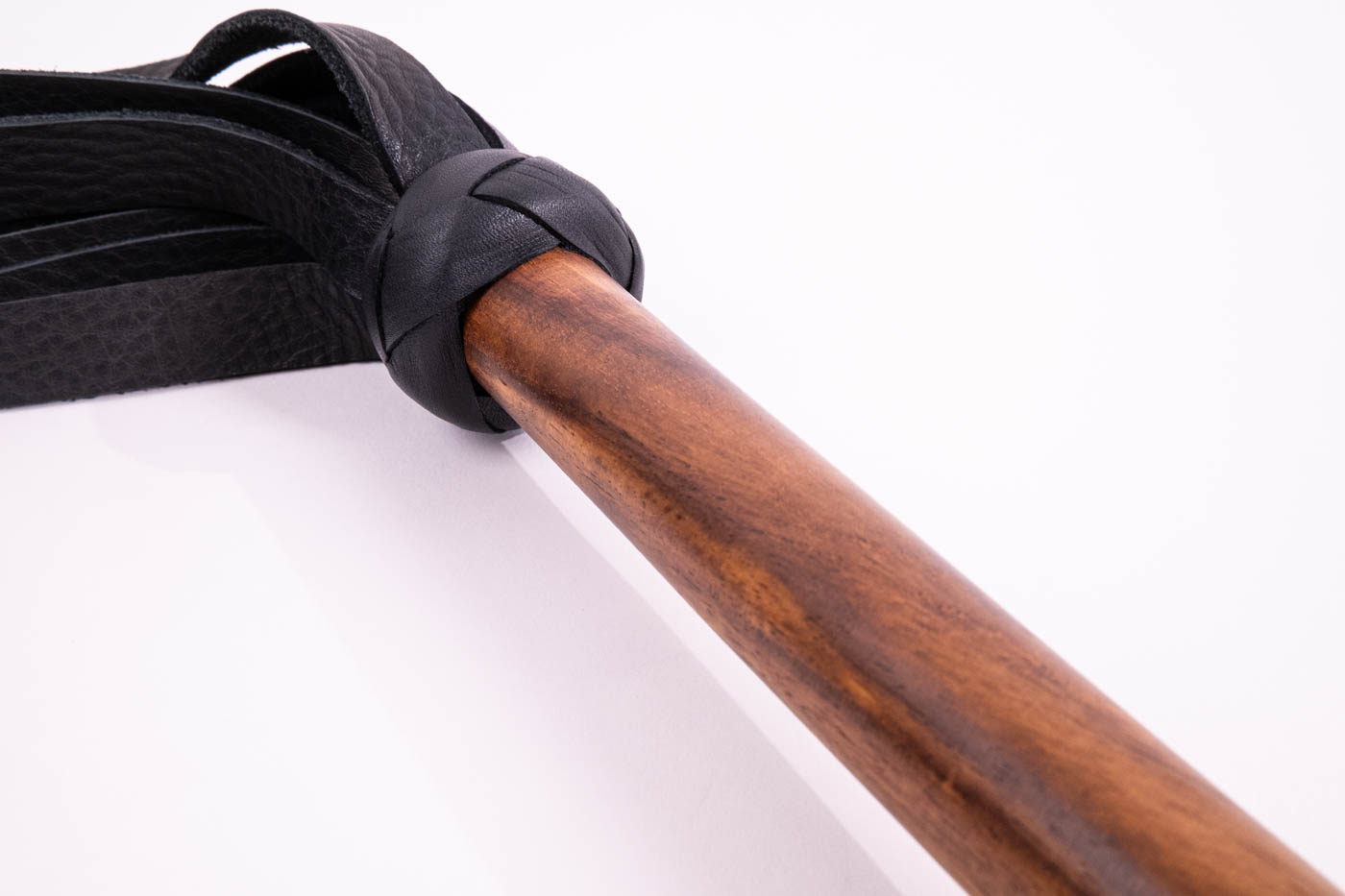 'Aiman', Arabian Flogger, smooth