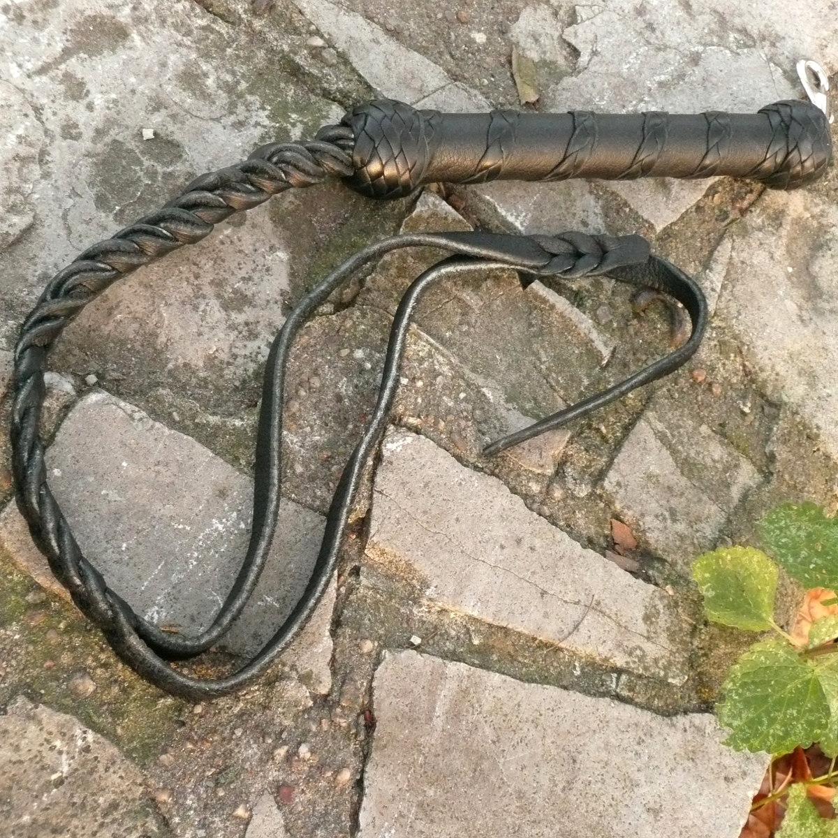 "Roy" Hundepeitsche mit rundem Griff