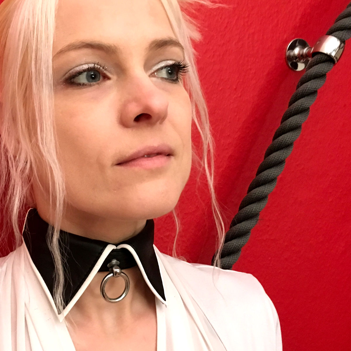 Kragen-Halsband, schwarz-weiß