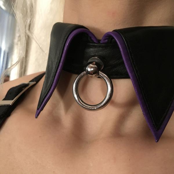 Kragen-Halsband, schwarz-lila