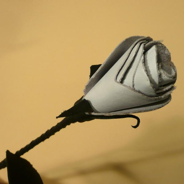 Leather Rose, Black/White