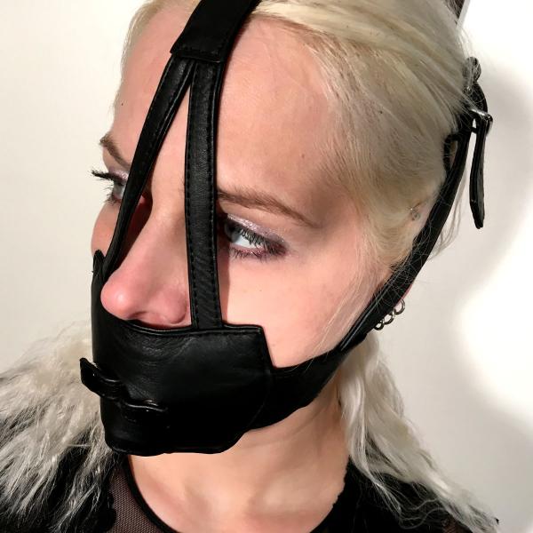 Muffle-Harness with Gag option