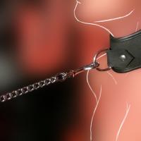 Vorschau: "Ihsan" - Führleine mit Kette Vorschau: "Ihsan" - Führleine mit Kette