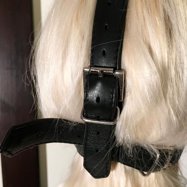 Muffle-Harness with Gag option