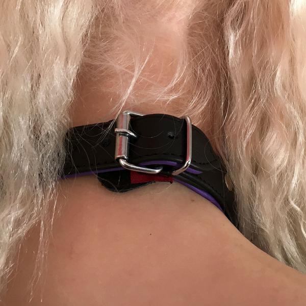 Halsfessel mit 3 D-Ringen, schwarz/lila