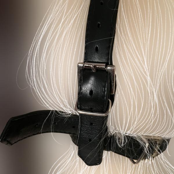 Muffle-Harness mit Knebel-Option