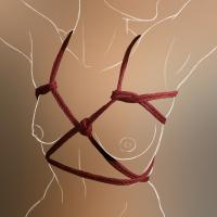 Hanfseil, bordeauxrot, Länge: 8 m Hanfseil, bordeauxrot, Länge: 8 m