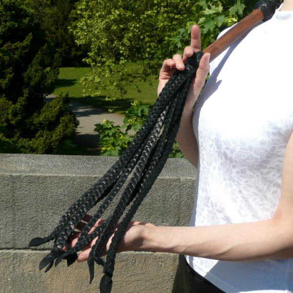 'Azmi', Arabian Flogger