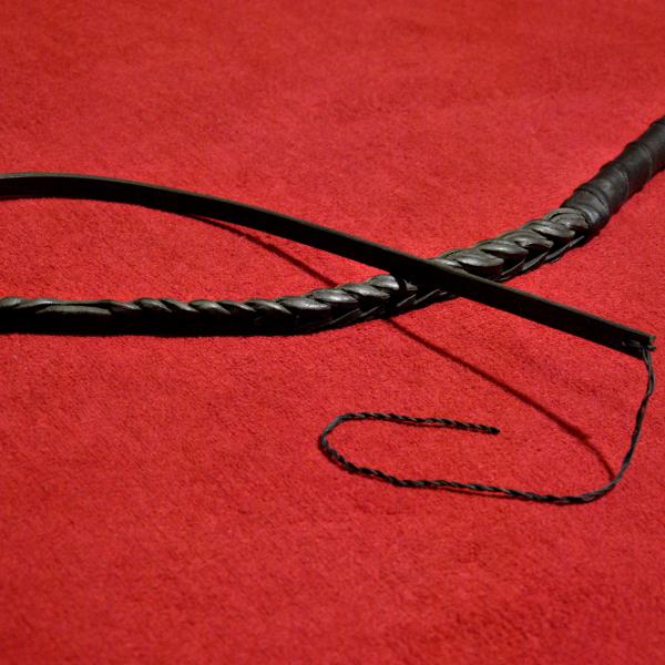 Dog Dressage Whip