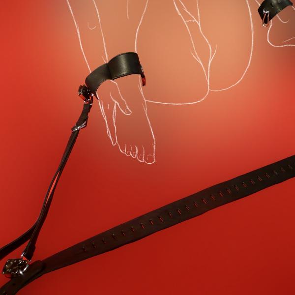 Stufenlos-Spanner, lang (mit D-Ringen)