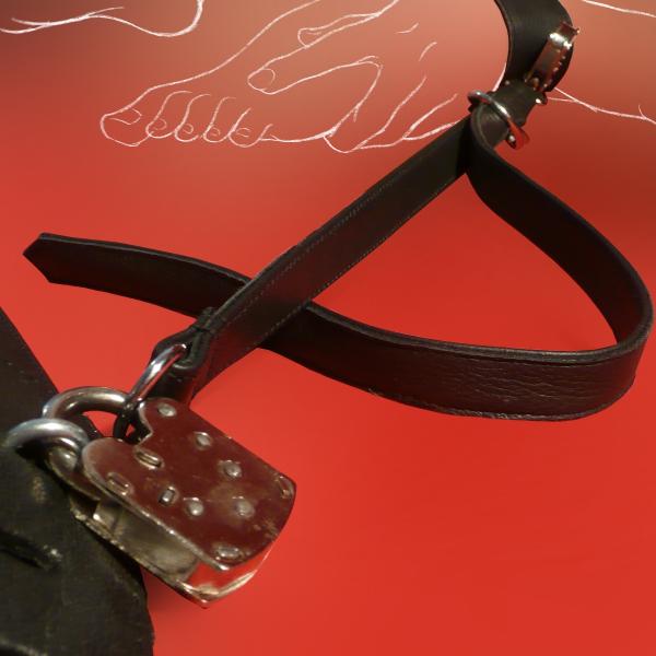Stufenlos-Spanner, lang (mit D-Ringen)
